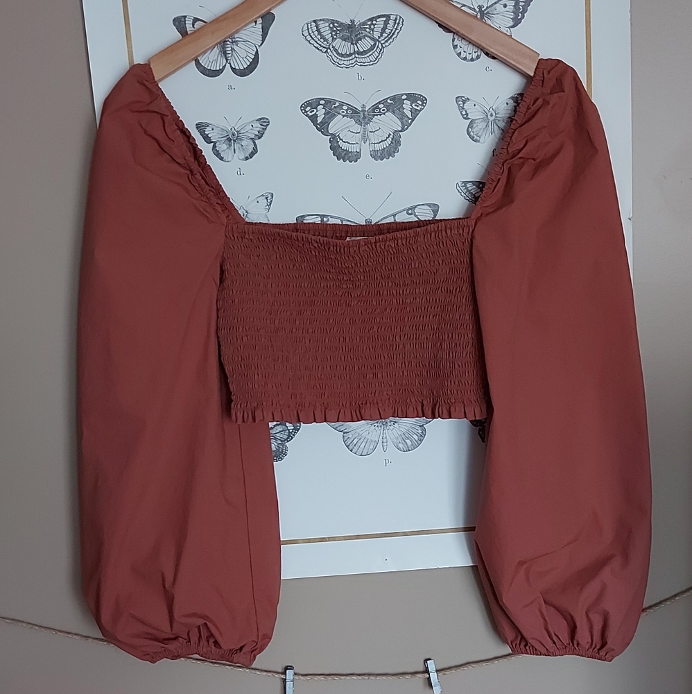 Wilfred Terracotta Crop Top - Picture 3 of 7